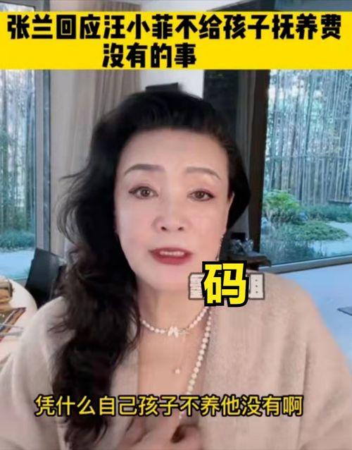 美王妈妈爆料视频,独家幕后故事大公开 第3张 美王妈妈爆料视频,独家幕后故事大公开 第3张